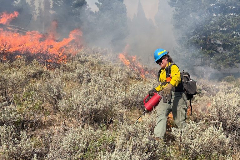 Why Montana Firefighters Are Intentionally Burning Areas Around Two Wildfires